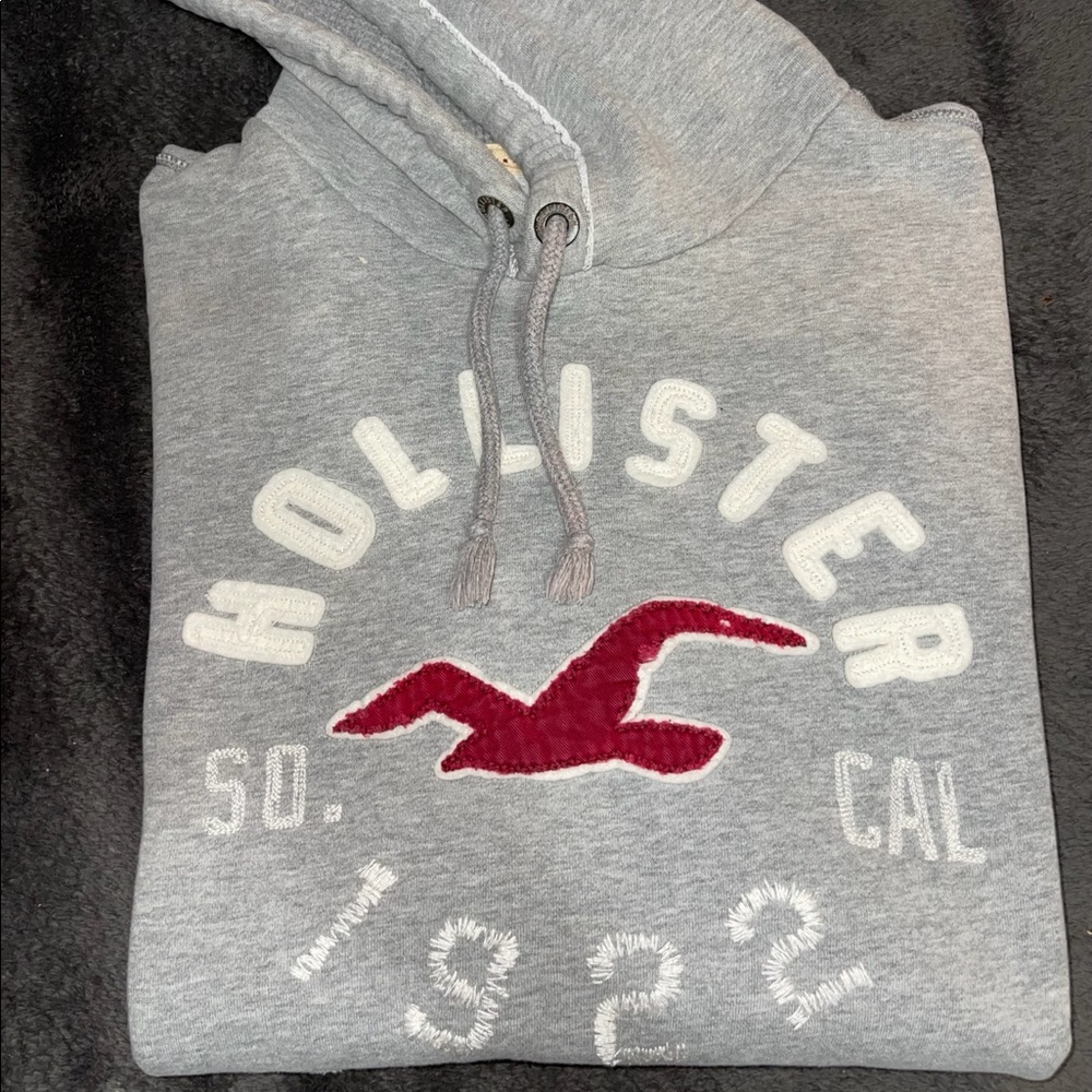 Hollister Large Hoodie